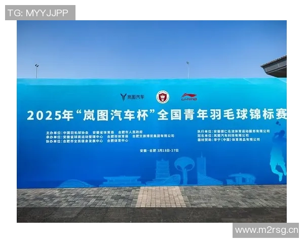 杭州羽毛球队实力解析聚焦羽毛球运动的未来发展与挑战